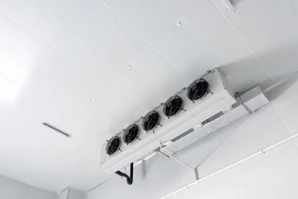 Why Choose Cold Room Panels for Your Food Storage Needs?